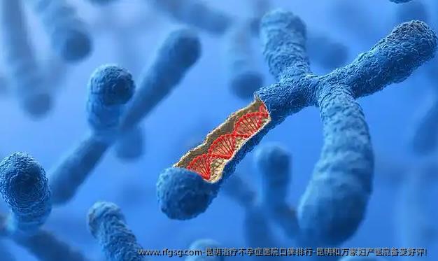 昆明治疗不孕症医院口碑排行-昆明和万家妇产医院备受好评！​