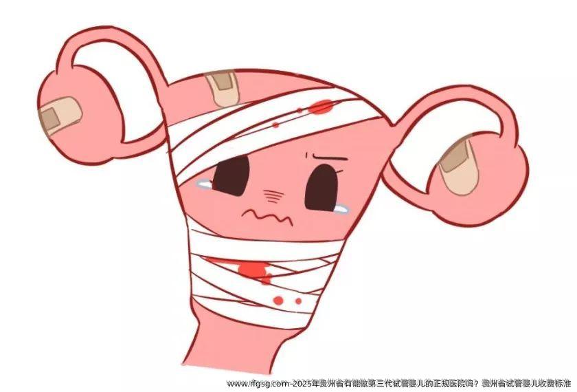 2025年贵州省有能做第三代试管婴儿的正规医院吗？贵州省试管婴儿收费标准