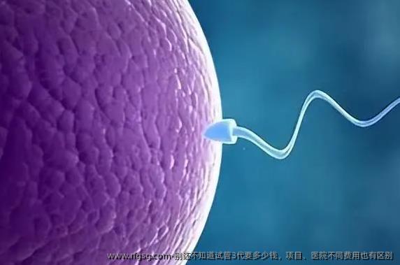 别还不知道试管3代要多少钱？项目、医院不同费用也有区别