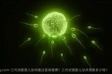 三代试管婴儿如何通过医保缴费？三代试管婴儿总共需要多少钱？