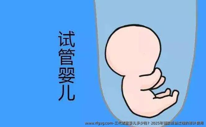 三代试管婴儿多少钱？2025年辅助妊娠过程的预计费用