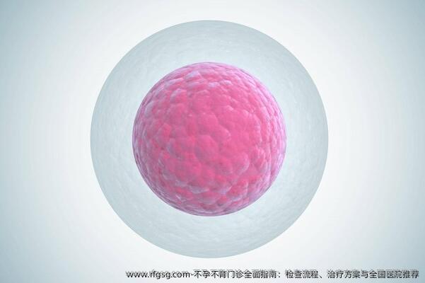 不孕不育门诊全面指南：检查流程、治疗方案与全国医院推荐