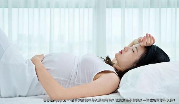 试管冻胚保存多久还能移植？试管冻胚保存超过一年成功率变化大吗？