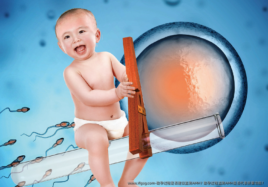 助孕过程是否建议监测AMH？助孕过程监测AMH是否代表卵巢功能？