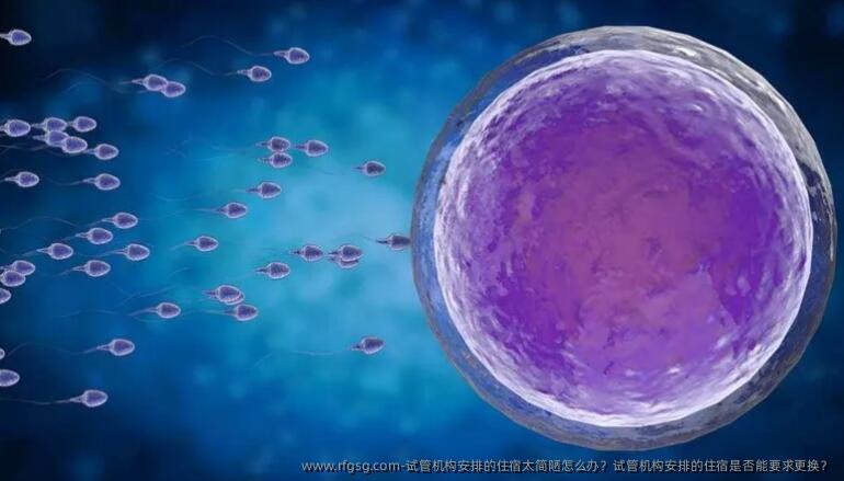 试管机构安排的住宿太简陋怎么办？试管机构安排的住宿是否能要求更换？