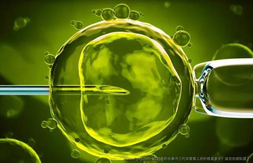 2025年的长春市三代试管婴儿的价格是多少？读完你就知道了