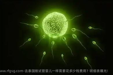 去泰国做试管婴儿一样需要花多少钱费用？明细表曝光！