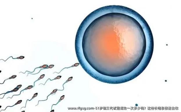 51岁做三代试管成功一次多少钱？这份价格表很适合你