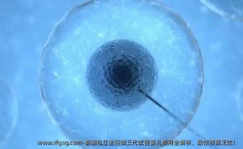 泰国私立医院做三代试管婴儿费用全解析，助你预算无忧！