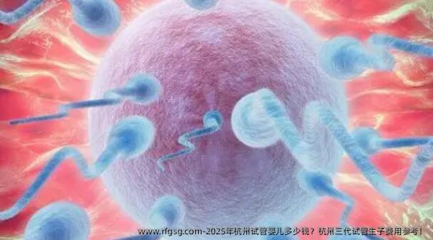 2025年杭州试管婴儿多少钱？杭州三代试管生子费用参考！