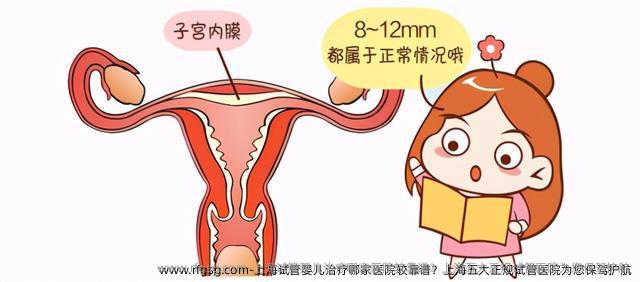 上海试管婴儿治疗哪家医院较靠谱？上海五大正规试管医院为您保驾护航