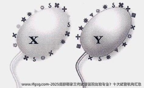 2025成都哪家三代试管医院比较专业？十大试管机构汇总