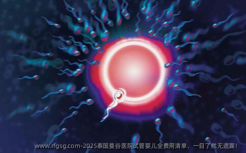 2025泰国曼谷医院试管婴儿全费用清单，一目了然无遗漏！