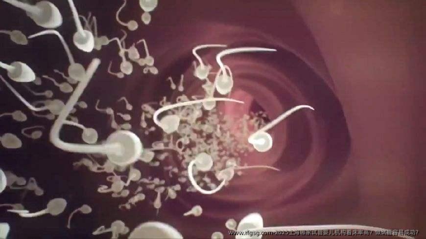 2025上海哪家试管婴儿机构着床率高？做试管容易成功？