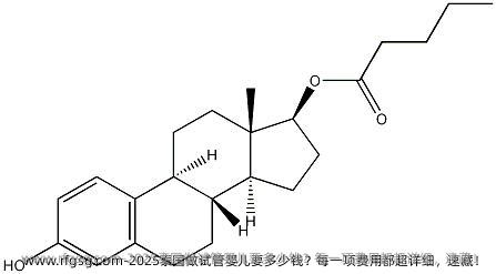 2025泰国做试管婴儿要多少钱？每一项费用都超详细，速藏！