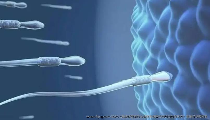 2025上海做试管前怎么调理使身体达到切合自身状态？健康作息时间表