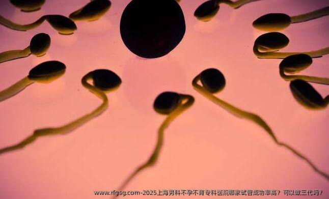 2025上海男科不孕不育专科医院哪家试管成功率高？可以做三代吗？