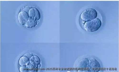 2025苏州专业做试管的机构有哪些？实时医院前十名排名