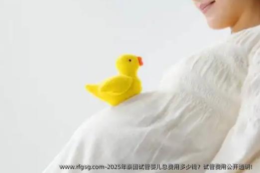 2025年泰国试管婴儿总费用多少钱？试管费用公开透明！