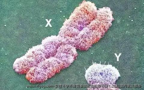 女性不孕不育需要做哪些检查项目？2025国内医院推荐