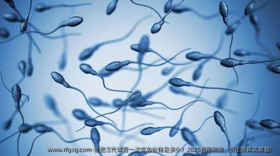 合肥三代试管一次成功价格是多少？2025费用明细，别让预算成难题！