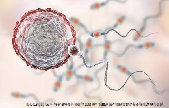 宜宾试管婴儿费用包含哪些？想知道每个流程具体是多少钱看这里都清楚！