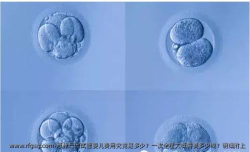 惠州三代试管婴儿费用究竟是多少？一次全程大概需要多少钱？明细附上