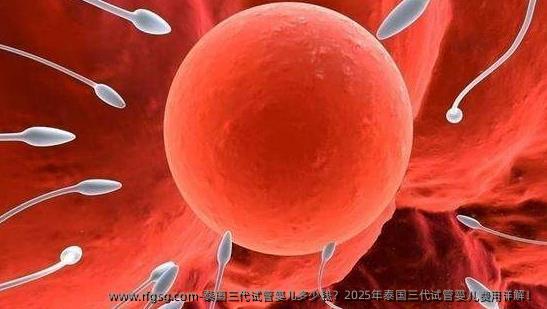泰国三代试管婴儿多少钱？2025年泰国三代试管婴儿费用详解！