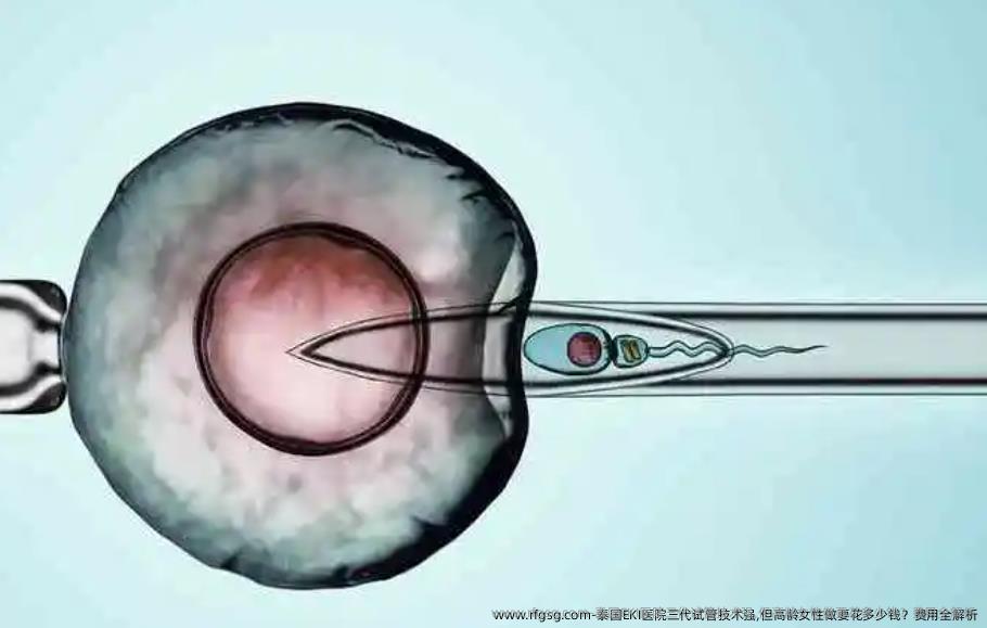 泰国EKI医院三代试管技术强,但高龄女性做要花多少钱？费用全解析