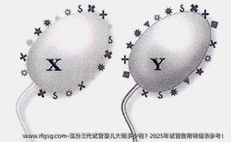 临汾三代试管婴儿大概多少钱？2025年试管费用明细表参考！