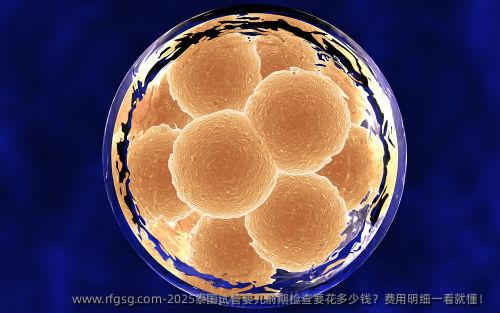 2025泰国试管婴儿前期检查要花多少钱？费用明细一看就懂！