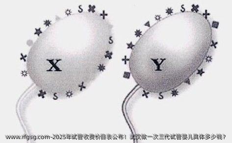 2025年试管收费价目表公布！武汉做一次三代试管婴儿具体多少钱？