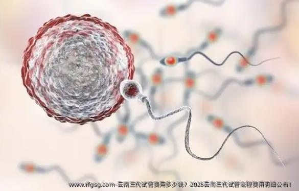 云南三代试管费用多少钱？2025云南三代试管流程费用明细公布！