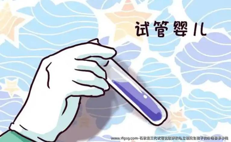 石家庄三代试管比较好的私立医院生孩子的价格要多少钱