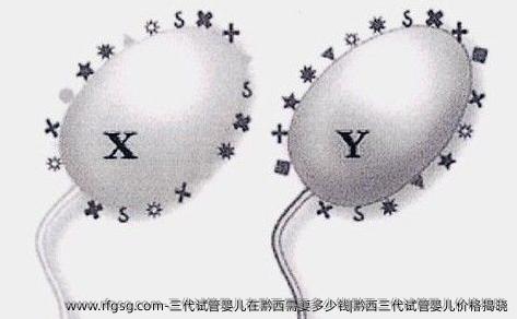 三代试管婴儿在黔西需要多少钱？黔西三代试管婴儿价格揭晓