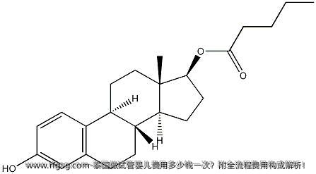 泰国做试管婴儿费用多少钱一次？附全流程费用构成解析！