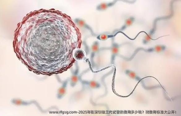 2025年在深圳做三代试管的费用多少钱？附费用标准大公开！