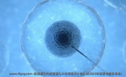 泰国第三代试管婴儿大约得花多少钱？附2025年试管收费标准表！