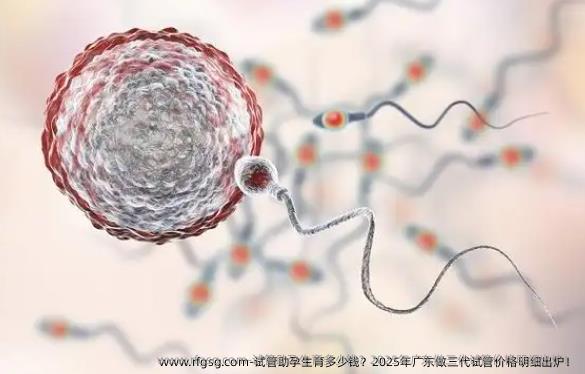试管助孕生育多少钱？2025年广东做三代试管价格明细出炉！