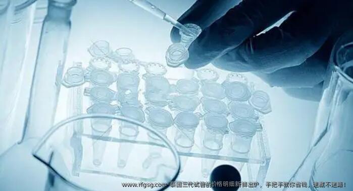 泰国三代试管的价格明细新鲜出炉，手把手教你省钱，速藏不迷路！