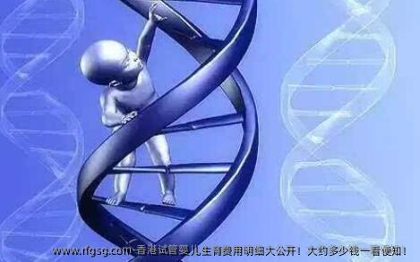 香港试管婴儿生育费用明细大公开！大约多少钱一看便知！