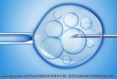 武汉私立机构第三代试管多少钱？武汉私立机构做三代试管价格公布！