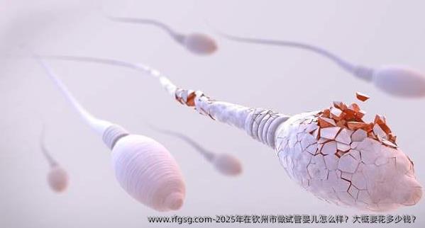 2025年在钦州市做试管婴儿怎么样？大概要花多少钱？
