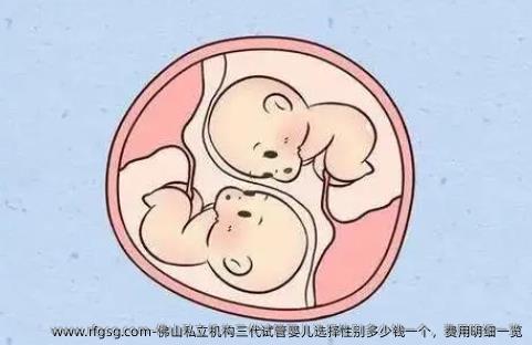 佛山私立机构三代试管婴儿选择多少钱一个，费用明细一览