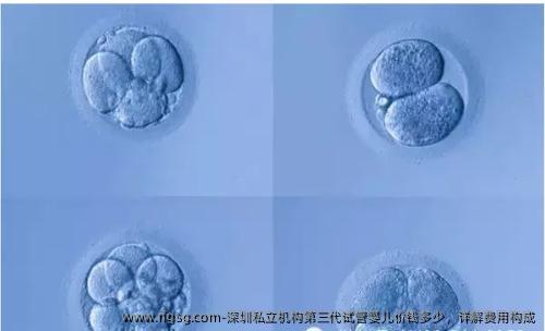 深圳私立机构第三代试管婴儿价钱多少，详解费用构成