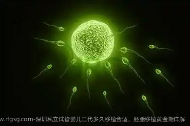 深圳私立试管婴儿三代多久移植合适，胚胎移植黄金期详解