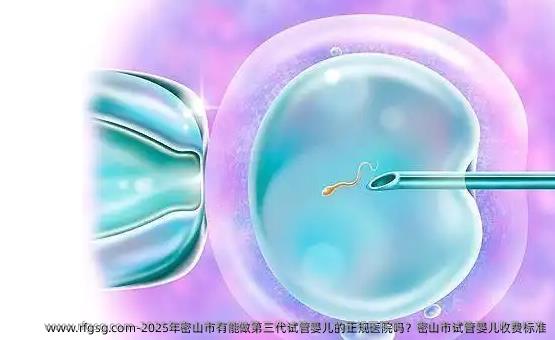 2025年密山市有能做第三代试管婴儿的正规医院吗？密山市试管婴儿收费标准