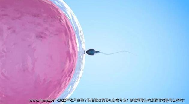 2025年双河市哪个医院做试管婴儿比较专业？做试管婴儿的流程安排是怎么样的？