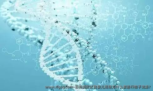 去美国做试管婴儿周期为什么要进行精子洗涤?