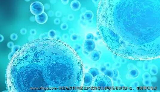 深圳私立机构第三代试管婴儿移植后要注意什么，注意事项盘点